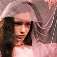 6686体育初级作者Clyde