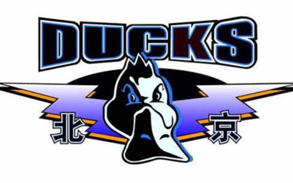 Người truyền thông: Địa điểm sân nhà của Đội bóng rổ nam Bắc Kinh trong mùa giải mới được xác định là Sân băng Shougang và Nhà thi đấu Wukesong