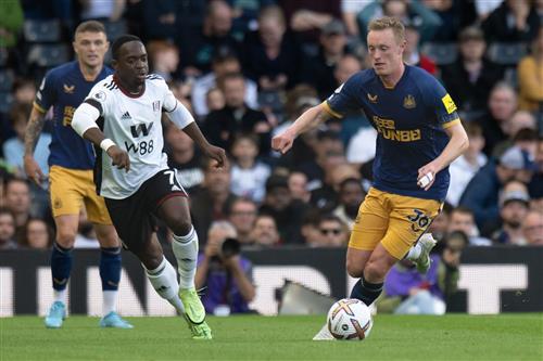 Newcastle United đấu với Fulham