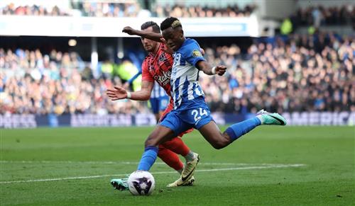 Brighton đấu với Everton