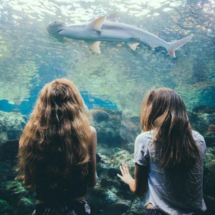 6686体育签约作者忆清风